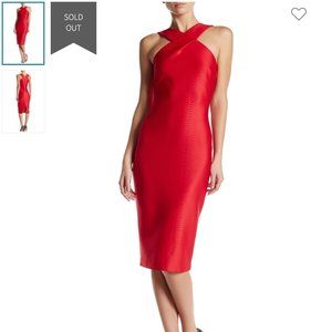 Ted Baker Eskire Dress